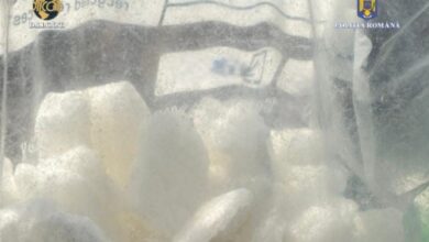 politia-a-prins-in-flagrant-un-traficant-de-500-de-grame-de-droguri