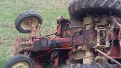 ucis-de-tractor-la-maiad