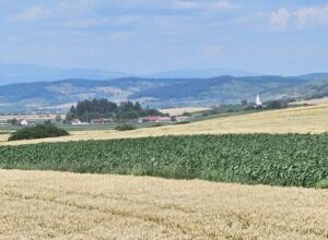 a-crescut-suprafata-agricola-pentru-subventii,-in-mures