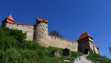 ”seara-de-film-in-cetate”,-la-saschiz