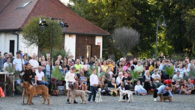 fotoreportaj:-”dracula-dog-show”-2025,-la-targu-mures:-700-de-caini-din-33-de-tari