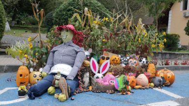 festivalul-dovleacului-revine-la-sovata