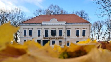 numar-urias-de-vizitatori,-la-castelul-mariaffi-din-sangeorgiu-de-mures