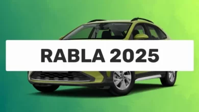 rabla-2025,-pentru-persoane-fizice:-bugetul-pentru-autovehiculele-termice-si-hibride-va-fi-suplimentat-cu-45-de-milioane-de-lei