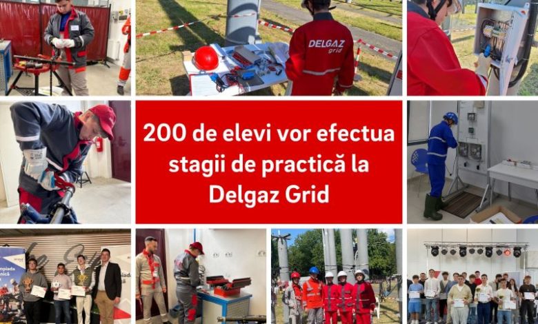 parteneriate-de-practica-in-cadrul-companiei-delgaz-grid