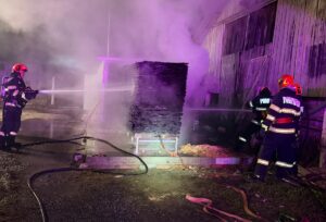 incendiu-la-un-uscator-de-cherestea-din-reghin