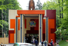 dino-parc-rasnov,-oferta-speciala