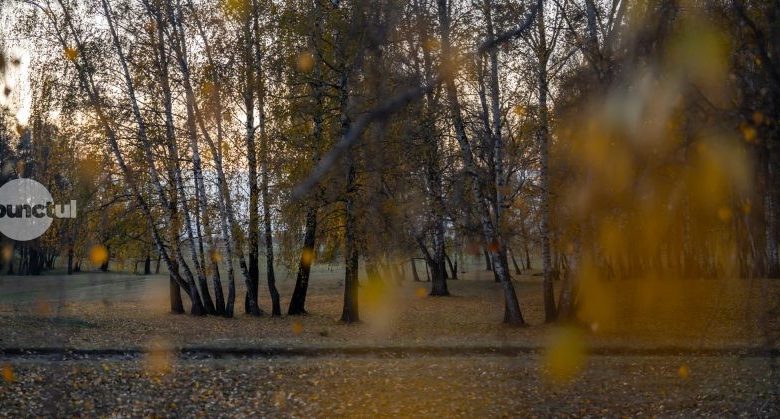 descoperiti-magia-mestecanisului-de-la-reci-–-supranumit-„sahara-judetului-covasna”!