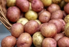 productia-de-cartofi,-cu-20%-mai-mica-in-covasna