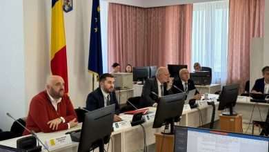 ”unda-verde”-pentru-modificari-la-codul-silvic