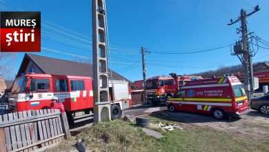 foto.-casa-cuprinsa-de-flacari-la-ibanesti!-pericol-de-explozie:-pompierii-au-scos-2-butelii-de-gaz
