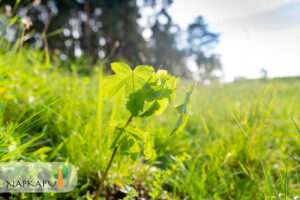 programul-‘poarta-de-soare’-continua-cu-revitalizarea-spatiilor-urbane-din-sfantu-gheorghe