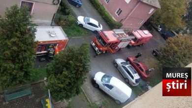 alerta-de-gaz-la-targu-mures:-conducta-de-gaz-fisurata!