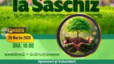 plantam-padure-la-saschiz-–-comunitatea-se-mobilizeaza-pentru-natura