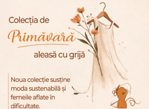 targu-mures:-se-lanseaza-ecostil,-un-magazin-pentru-persoane-vulnerabile
