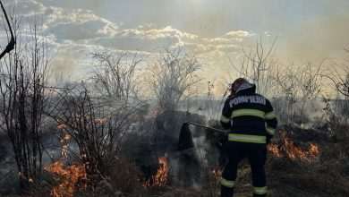 incendiu-pe-o-suprafata-de-10-hectare-de-vegetatie-uscata-si-maracinis-in-pietris-(deda)