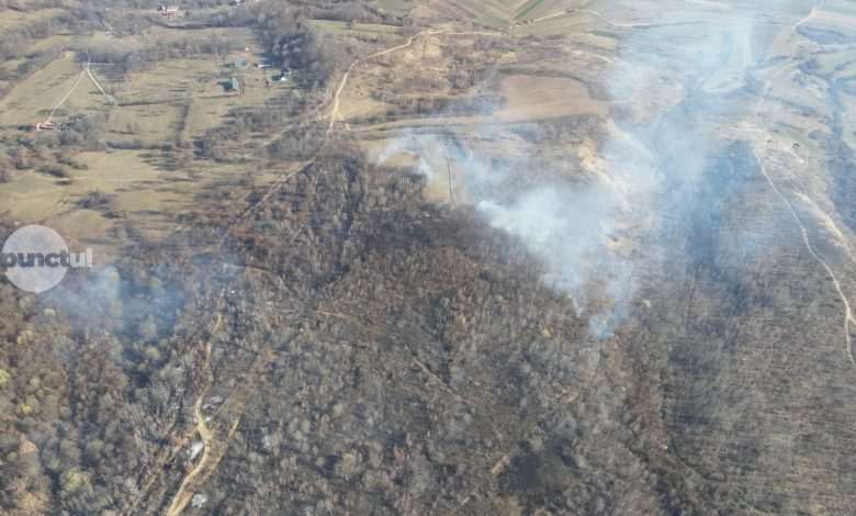 incendiu-de-vegetatie-intr-o-zona-greu-accesibila-a-localitatii-pietris-din-comuna-deda