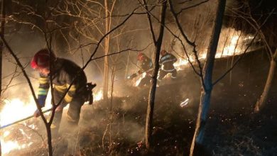 incendiu-de-vegetatie-uscata-in-livezeni