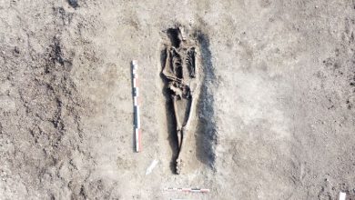 cimitir-din-perioada-romana-timpurie,-cu-circa-30-de-morminte-si-o-groapa-comuna,-descoperit-la-cristesti