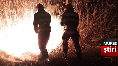 foto.-incendiile-de-vegetatie-fac-ravagii-in-mures!-16-incendii-in-weekend