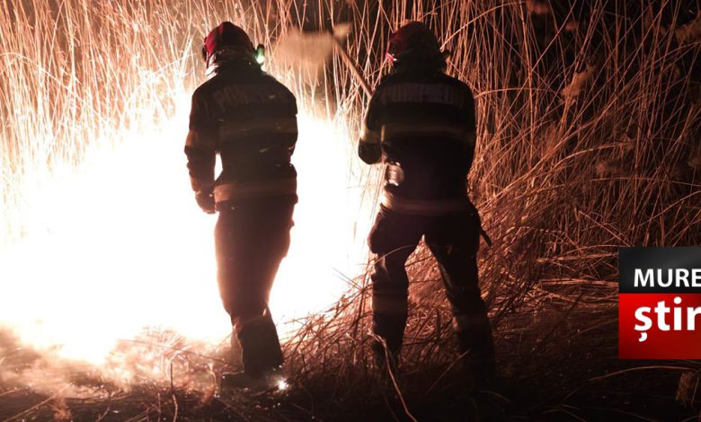 foto.-incendiile-de-vegetatie-fac-ravagii-in-mures!-16-incendii-in-weekend