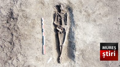 foto.-descoperire-impresionanta-in-mures:-morminte-romane-si-urmele-unei-tragedii-uitate!