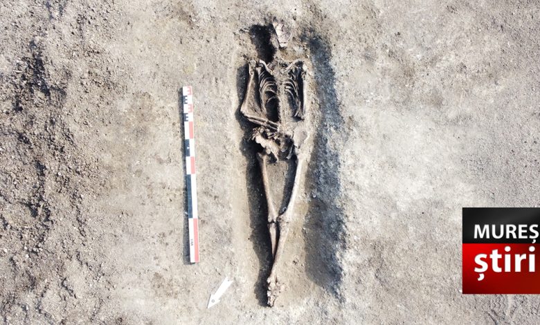 foto.-descoperire-impresionanta-in-mures:-morminte-romane-si-urmele-unei-tragedii-uitate!