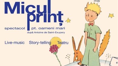 ”micul-print-–-spectacol-pentru-oameni-mari”,-la-teatrul-”studio”-din-targu-mures