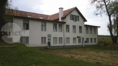ingrijire-la-domiciliu,-camin-si-activitati-comunitare:-„oferta-sociala”-a-primariei 
