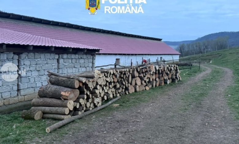 perchezitii-in-domeniul-silvic-la-ghindari