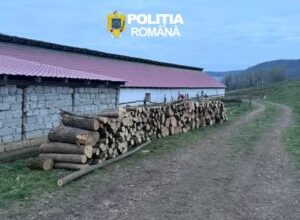 26-de-perchezitii-domiciliare-in-domeniul-silvic-pe-raza-judetului-mures