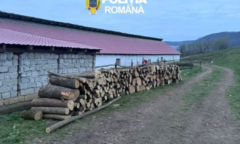 perchezitii-pentru-infractiuni-la-regimul-silvic,-pe-raza-judetului-mures