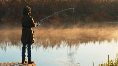 cum-se-poate-obtine-prin-e-mail-permisul-de-pescuit