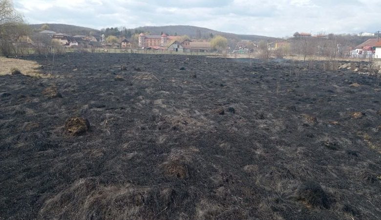 incendiu-de-vegetatie-uscata,-in-reghin
