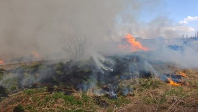 incendiu-de-deseuri,-in-ludus