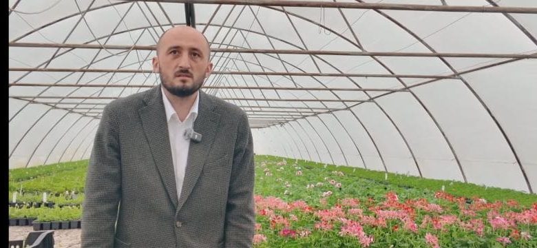 o-afacere-care-niciodata-nu-se-ofileste.-cultivatul-florilor