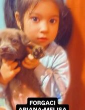 polisttii-mureseni-cauta-de-ieri-doua-minore,-de-4-si-5-ani,-din-tarnaveni,-care-au-disparut-dupa-amiaza.