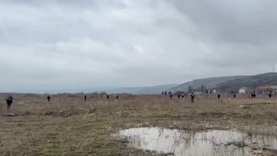 politia-mures,-precizari-despre-cautarea-fetitelor-disparute-din-tarnaveni