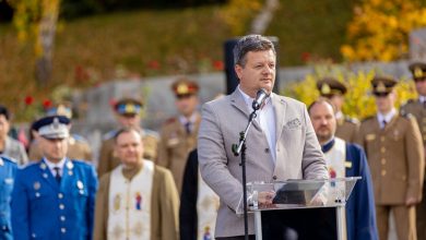 Alexandru GYORGY - Criza politică este o perdea de fum pentru incompetență