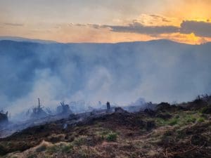 peste-60-de-hectare-de-teren-afectate-de-incendii-de-vegetatie-in-judetul-harghita,-de-la-inceputul-anului
