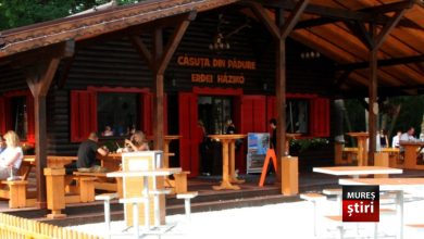paradoxul-„casutei-din-padure”:-cum-a-ajuns-un-ales-local-sa-plateasca-din-buzunar-cadastrarea-unei-cladiri-„fantoma”-a-primariei-targu-mures