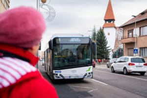 vinerea-verde-la-sf.-gheorghe