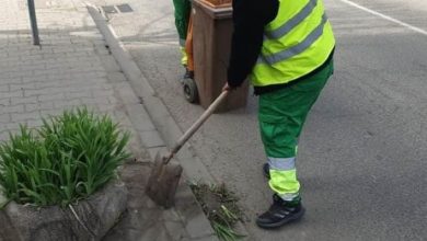 foto:-sylevy-cleaning,-eforturi-pentru-un-targu-mures-mai-curat