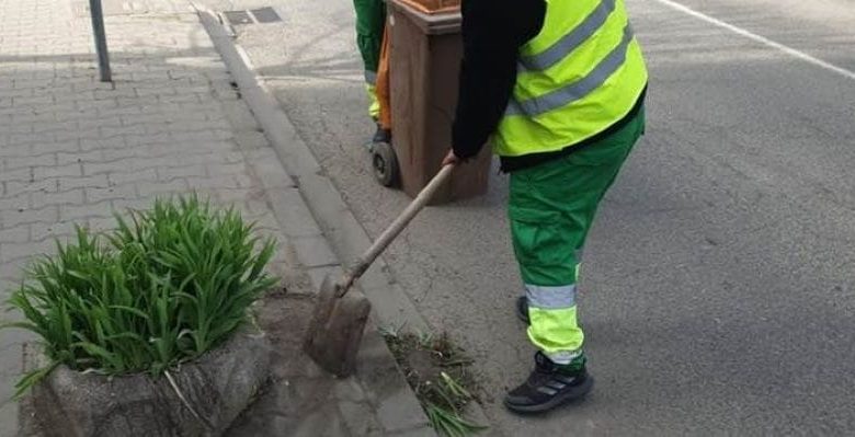 foto:-sylevy-cleaning,-eforturi-pentru-un-targu-mures-mai-curat