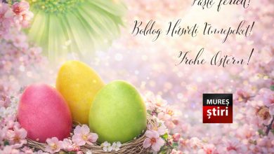 pastele-2026:-traditii-si-comuniune-in-duminica-invierii-/-husvet-2026:-hagyomanyok-es-kozosseg-a-feltamadas-vasarnapjan-/-ostern-2026:-traditionen-und-gemeinschaft-am-ostersonntag