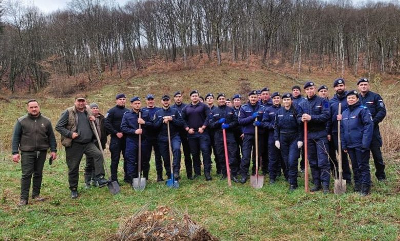 foto:-actiune-de-impadurire-in-judetul-mures,-de-ziua-jandarmeriei-romane