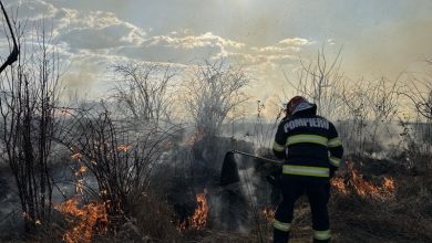 mures:-masuri-preventive-specifice-incendiilor-de-vegetatie-uscata-si-situatia-incendiilor-de-vegetatie-uscata-in-trimestrul-i-2026