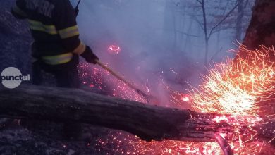 180-de-incendii-de-vegetatie-in-judet-in-primul-trimestru,-cu-peste-425-hectare-afectate