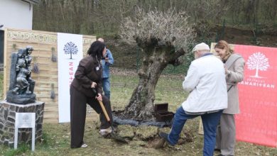 fotoreportaj.-doi-ani-de-grija,-speranta-si-vindecare:-povestea-spitalului-samaritean,-construit-din-vis-si-dedicare