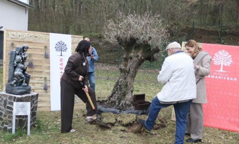 fotoreportaj.-doi-ani-de-grija,-speranta-si-vindecare:-povestea-spitalului-samaritean,-construit-din-vis-si-dedicare